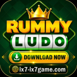 RUMMY LUDO ONLINE EARNING POTENTIAL icon